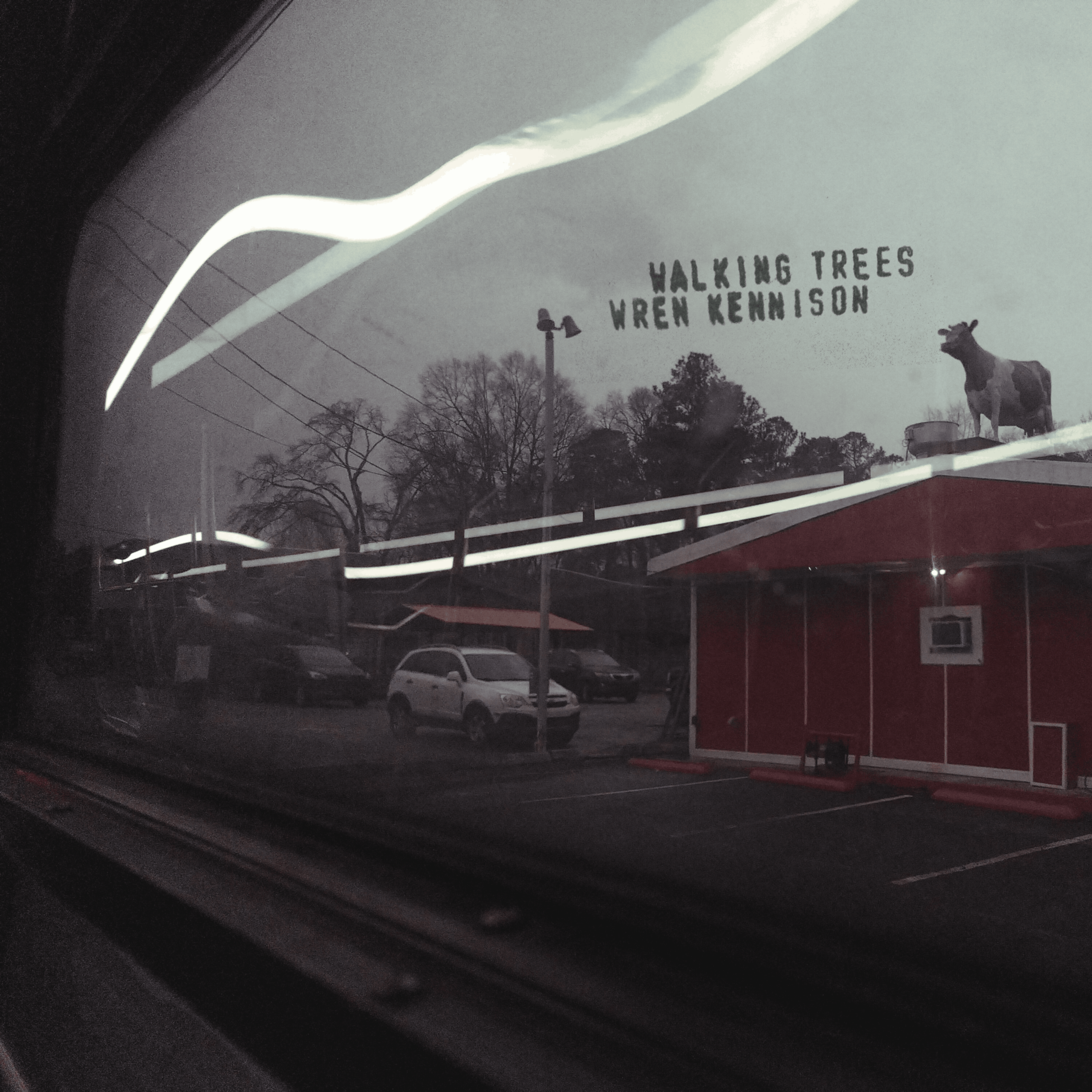 walking trees cover
